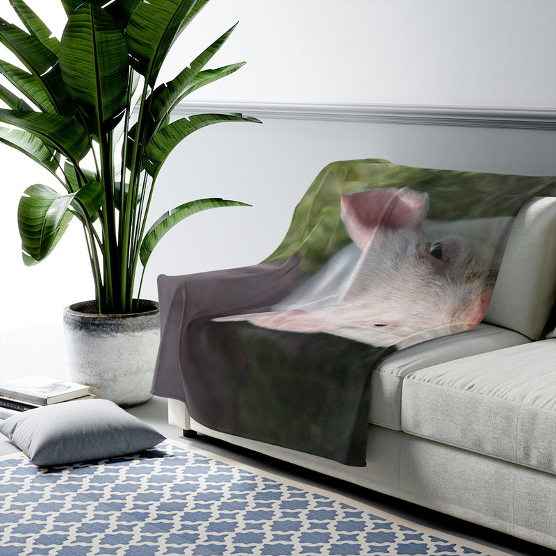 Baby Pig Velveteen Plush Blanket, Free Shipping, Two Sizes, Throw Blanket, Extra Soft, Custom Photo, Throws