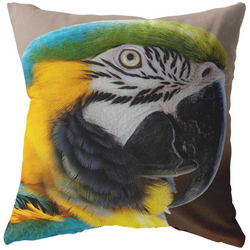 Birds Eye View Pillow - Choose From Stuffed & Sewn Or Case With Insert