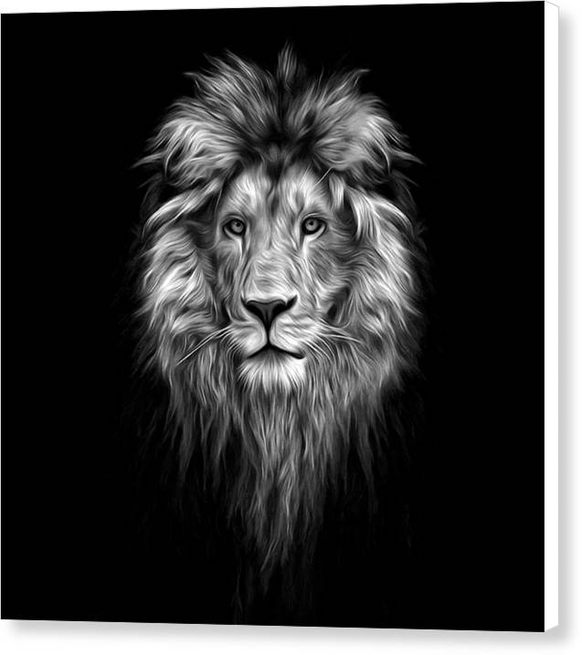 Lion On Black - Canvas Print