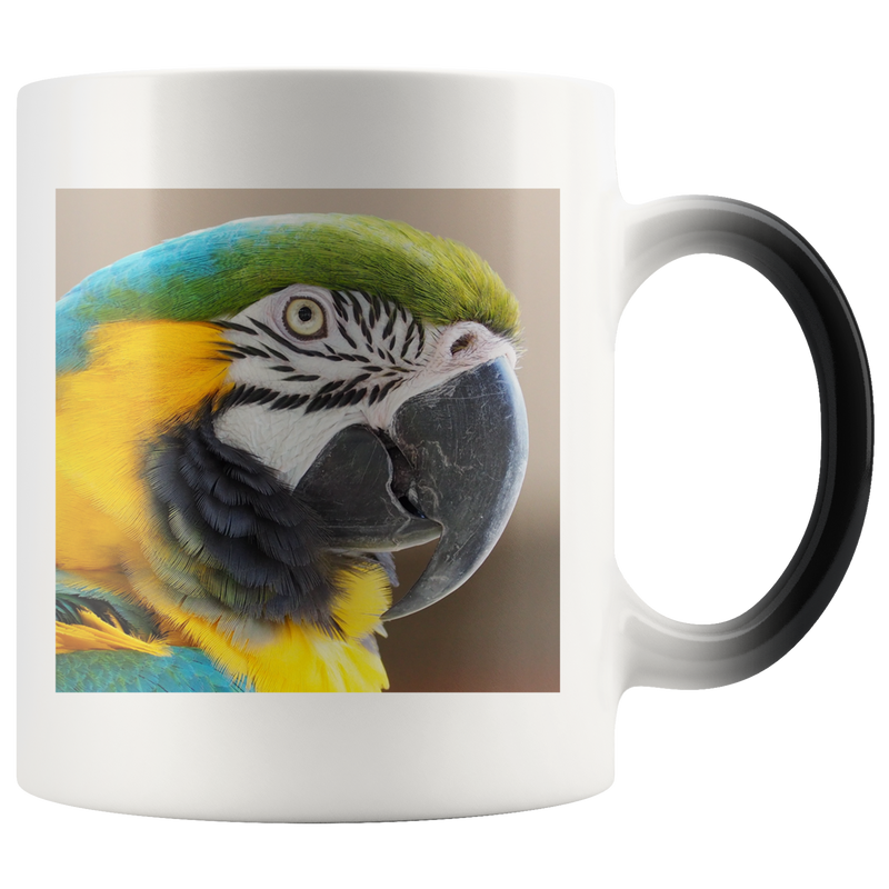 Birds Eye View Magic Mug - Changes Colors With Hot Liquid