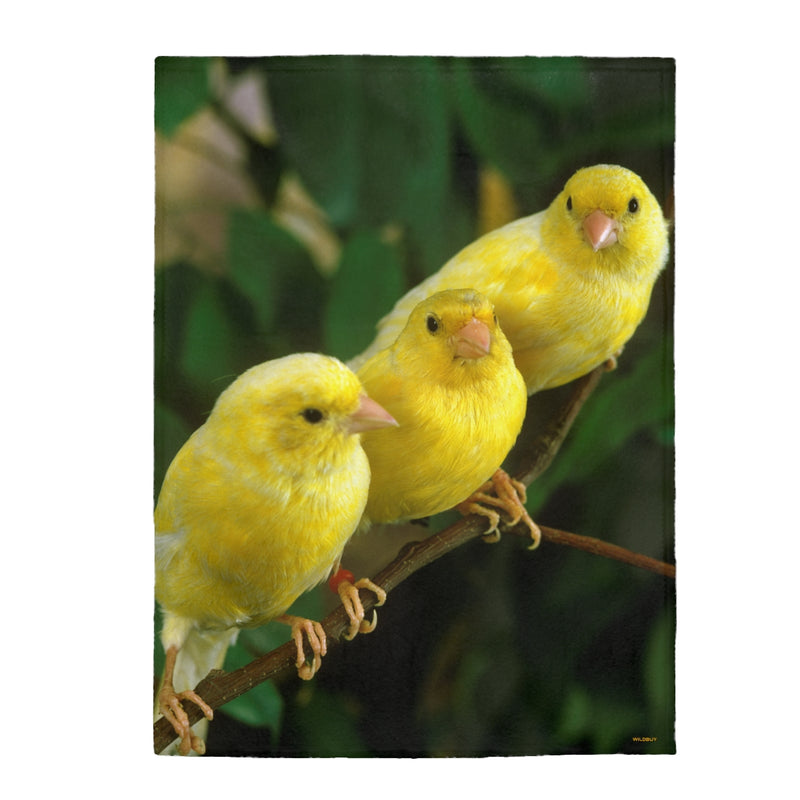 Canary Birds Blanket, Velveteen Plush Blanket, Free Shipping, Two Sizes, Throw Blanket, Extra Soft, Custom Photo, Throws