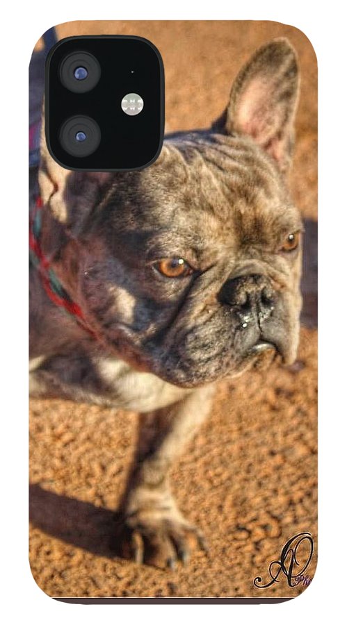 Baby Cosmo French Bulldog - iPhone AND/OR Galaxy Phone Case