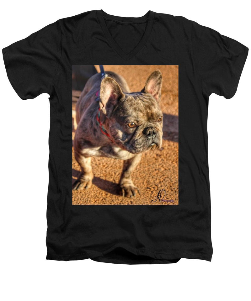 Baby Cosmo French Bulldog - Men's V-Neck T-Shirt