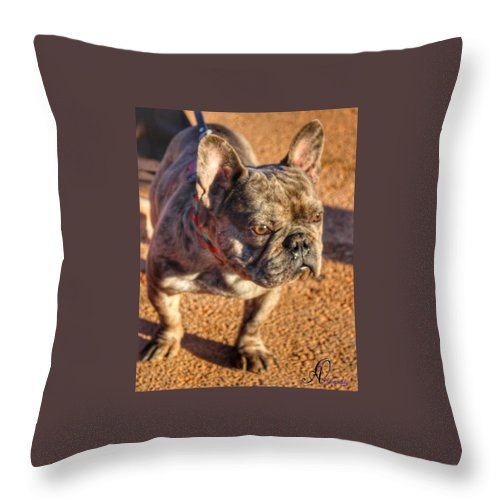 Baby Cosmo - Throw Pillow