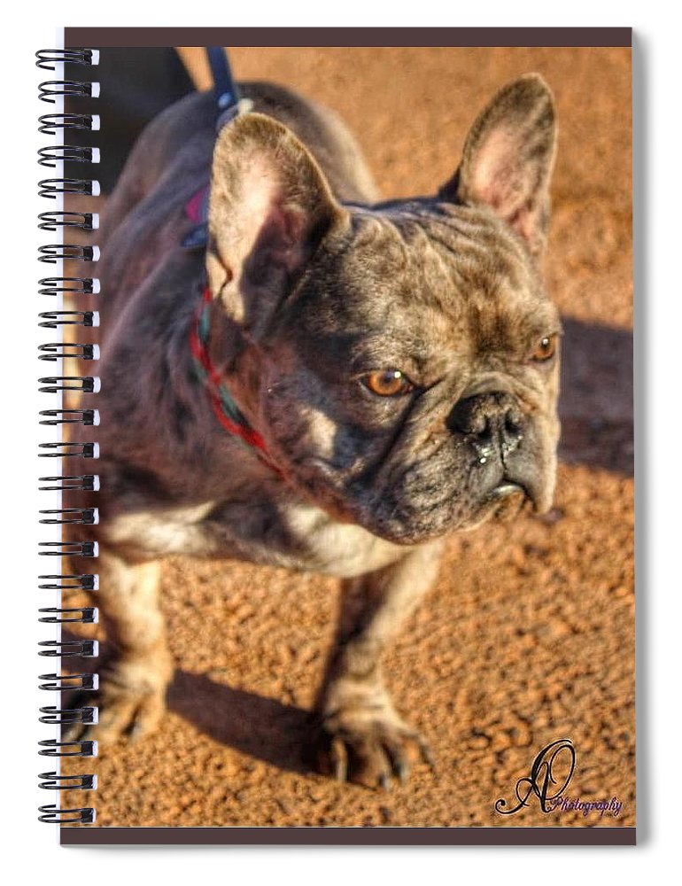 Baby Cosmo French Bulldog - Spiral Notebook 6x8