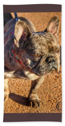 Baby Cosmo French Bulldog - Beach Towel AND/OR Beach Sheet