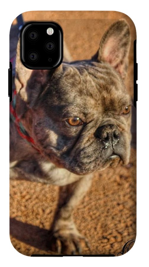 Baby Cosmo French Bulldog - iPhone AND/OR Galaxy Phone Case