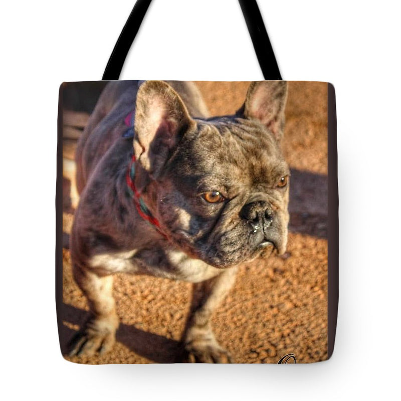 Baby Cosmo - Tote Bag