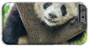 Panda in Tree - iPhone AND/OR Galaxy Phone Case