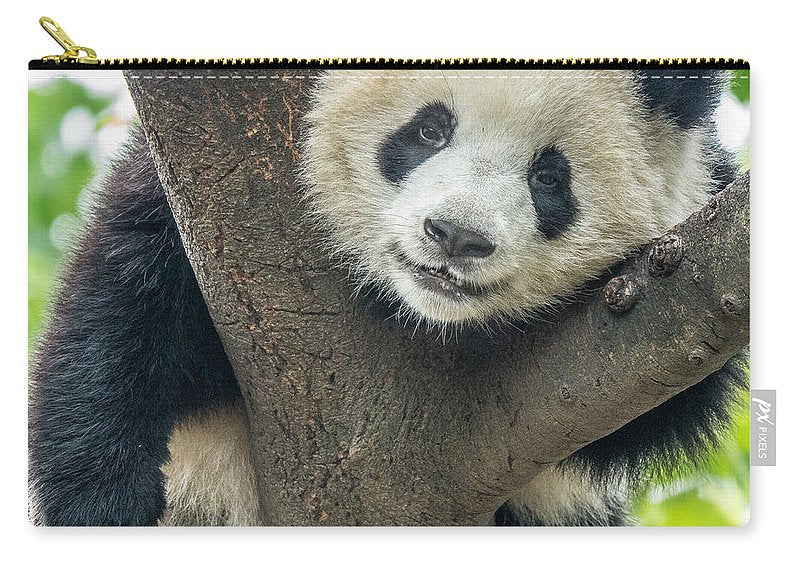 Panda in Tree - Carry-All Pouch