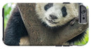 Panda in Tree - iPhone AND/OR Galaxy Phone Case