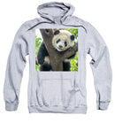 Panda in Tree - Hoodie