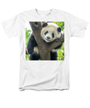 Panda in Tree - Men's T-Shirt  (Regular Fit)