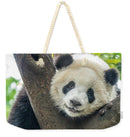 Panda in Tree - Weekender Tote Bag