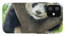 Panda in Tree - iPhone AND/OR Galaxy Phone Case
