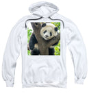 Panda in Tree - Hoodie