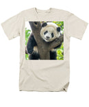 Panda in Tree - Men's T-Shirt  (Regular Fit)