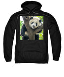 Panda in Tree - Hoodie