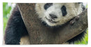 Panda in Tree - Bath Towel AND/OR Bath Sheet
