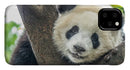 Panda in Tree - iPhone AND/OR Galaxy Phone Case