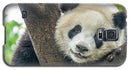 Panda in Tree - iPhone AND/OR Galaxy Phone Case