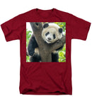 Panda in Tree - Men's T-Shirt  (Regular Fit)