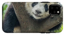 Panda in Tree - iPhone AND/OR Galaxy Phone Case