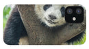 Panda in Tree - iPhone AND/OR Galaxy Phone Case