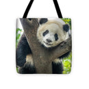 Panda in Tree - Tote Bag