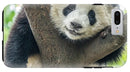 Panda in Tree - iPhone AND/OR Galaxy Phone Case