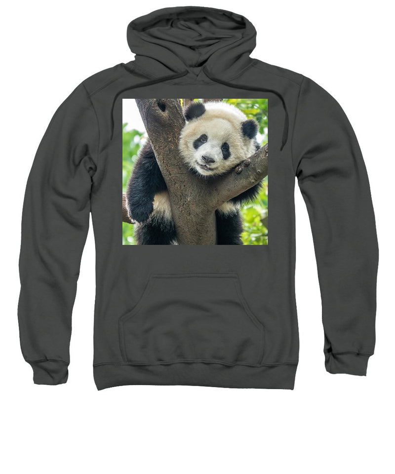 Panda in Tree - Hoodie
