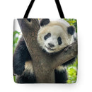 Panda in Tree - Tote Bag