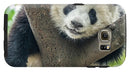 Panda in Tree - iPhone AND/OR Galaxy Phone Case