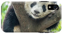 Panda in Tree - iPhone AND/OR Galaxy Phone Case