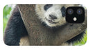 Panda in Tree - iPhone AND/OR Galaxy Phone Case