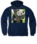 Panda in Tree - Hoodie