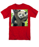 Panda in Tree - Men's T-Shirt  (Regular Fit)