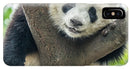 Panda in Tree - iPhone AND/OR Galaxy Phone Case