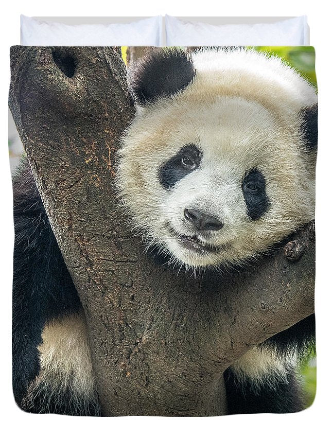 Panda in Tree - Duvet Cover