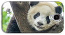 Panda in Tree - iPhone AND/OR Galaxy Phone Case