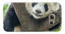Panda in Tree - iPhone AND/OR Galaxy Phone Case