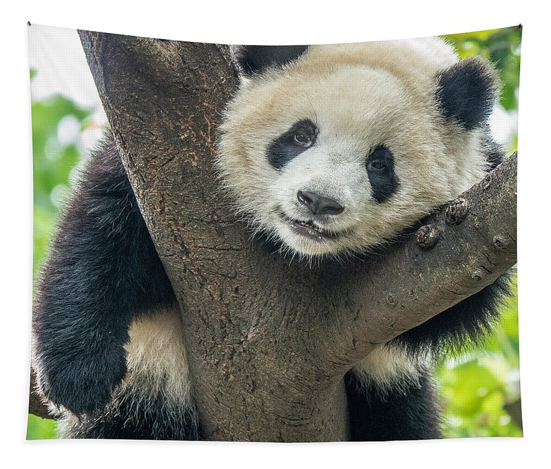 Panda in Tree - Tapestry