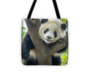 Panda in Tree - Tote Bag