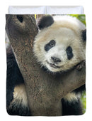 Panda in Tree - Duvet Cover