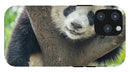 Panda in Tree - iPhone AND/OR Galaxy Phone Case