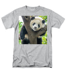 Panda in Tree - Men's T-Shirt  (Regular Fit)