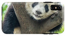 Panda in Tree - iPhone AND/OR Galaxy Phone Case