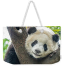 Panda in Tree - Weekender Tote Bag