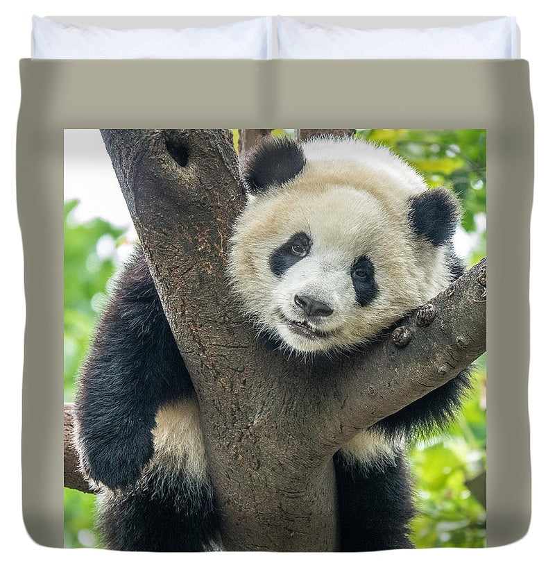 Panda in Tree - Duvet Cover