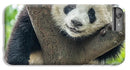 Panda in Tree - iPhone AND/OR Galaxy Phone Case